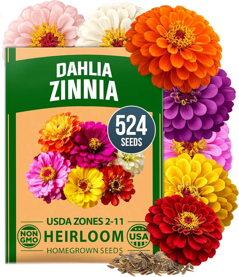 HOME GROWN Zinnia Dahlia Seeds Pack for 2026 Non GMO 524 Flower Seeds | Vibrant Zinnia Elegans for Pollinator Gardens, Border